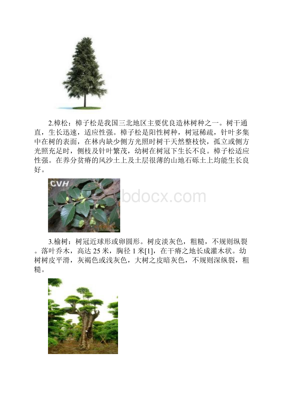 东北常见动植物名录.docx_第2页