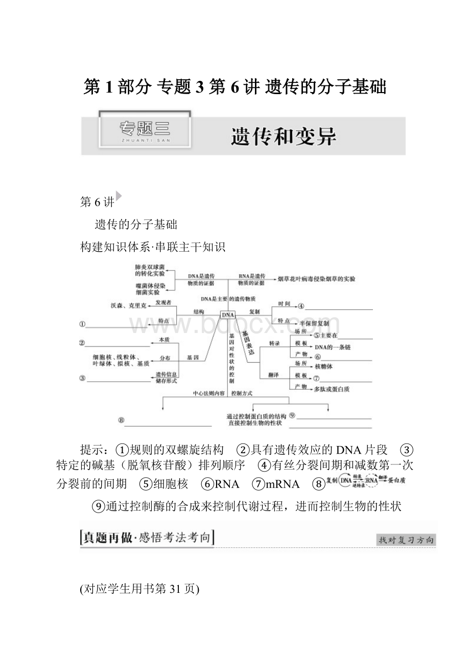 第1部分 专题3 第6讲 遗传的分子基础.docx_第1页