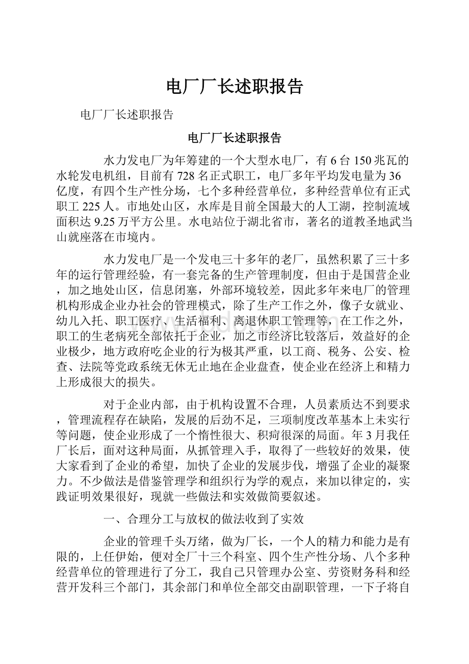 电厂厂长述职报告.docx_第1页