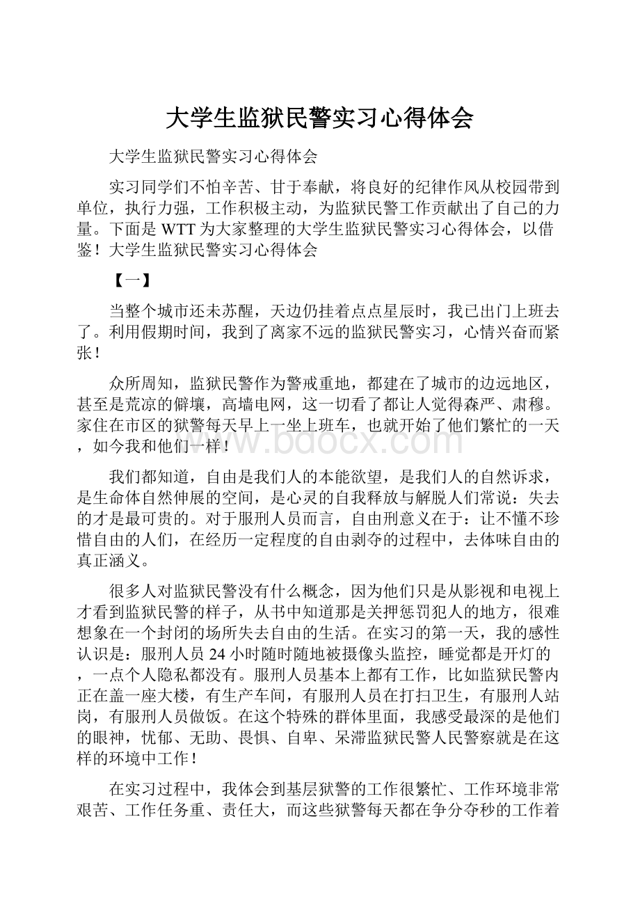 大学生监狱民警实习心得体会.docx