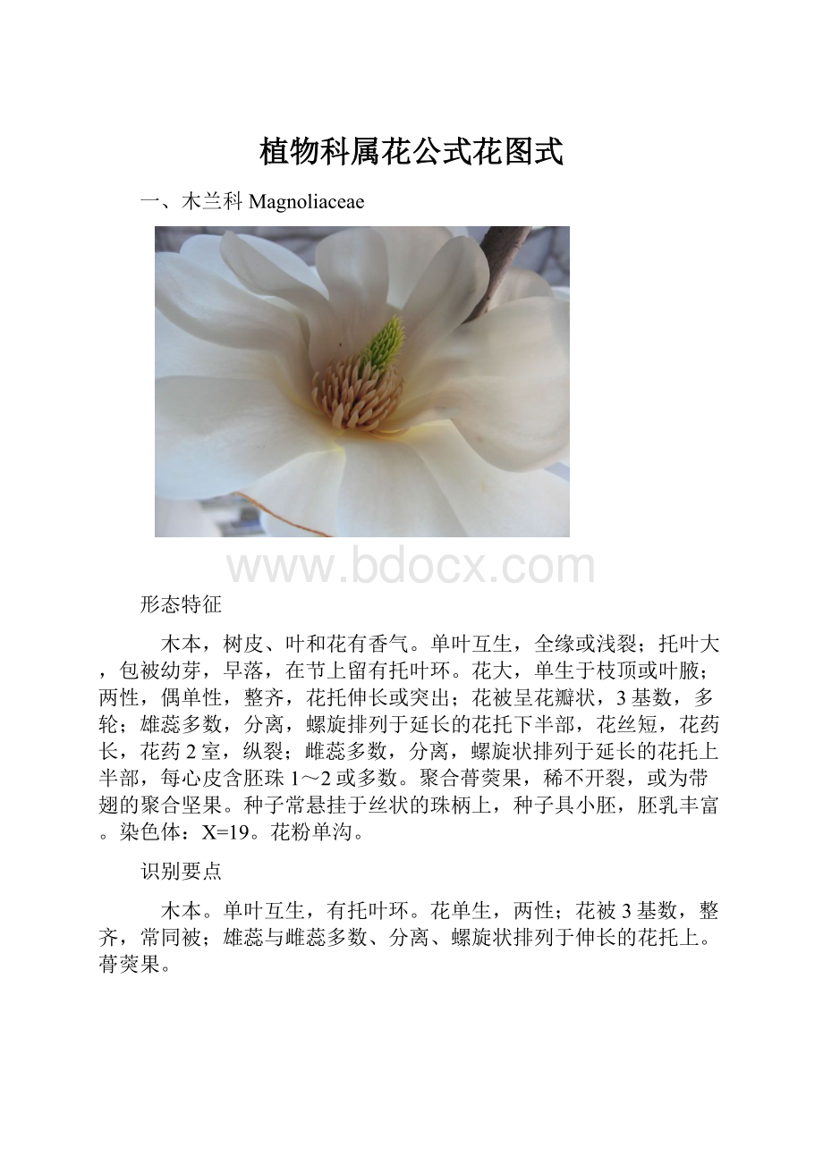 植物科属花公式花图式.docx