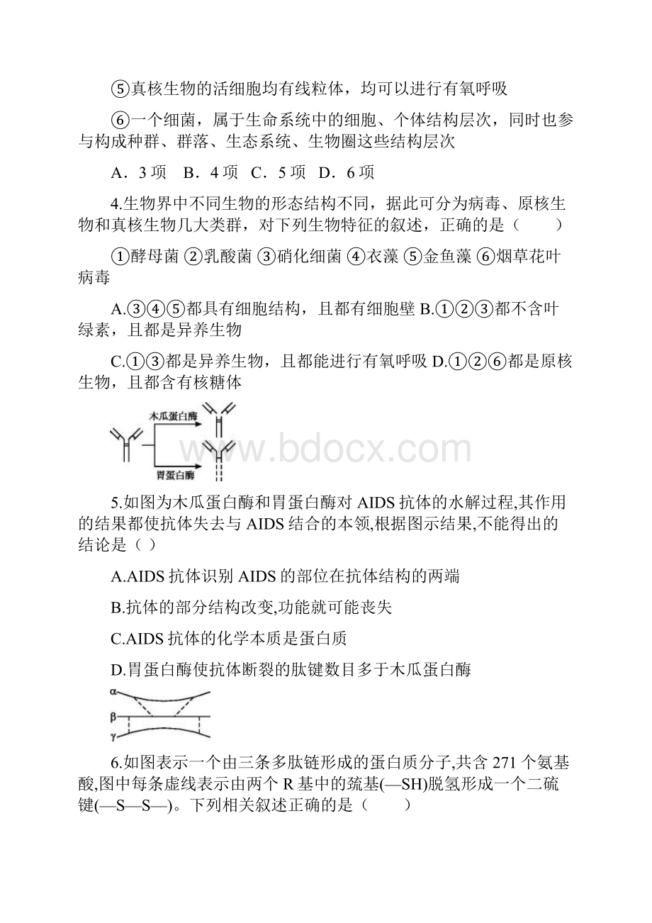 湖北省宜昌市高二下册第二学期期末考试生物含答案精品.docx_第2页