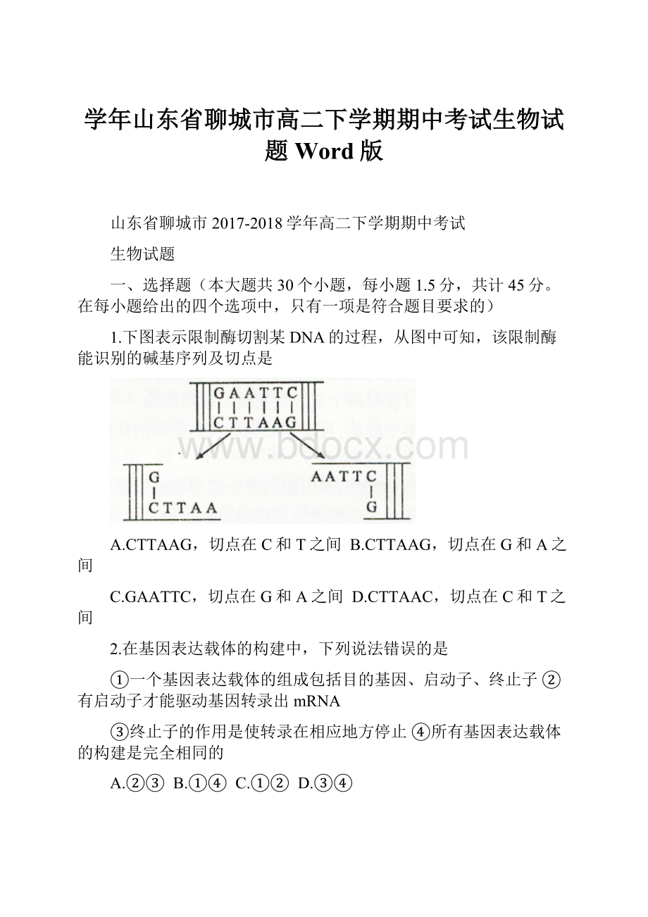 学年山东省聊城市高二下学期期中考试生物试题 Word版.docx