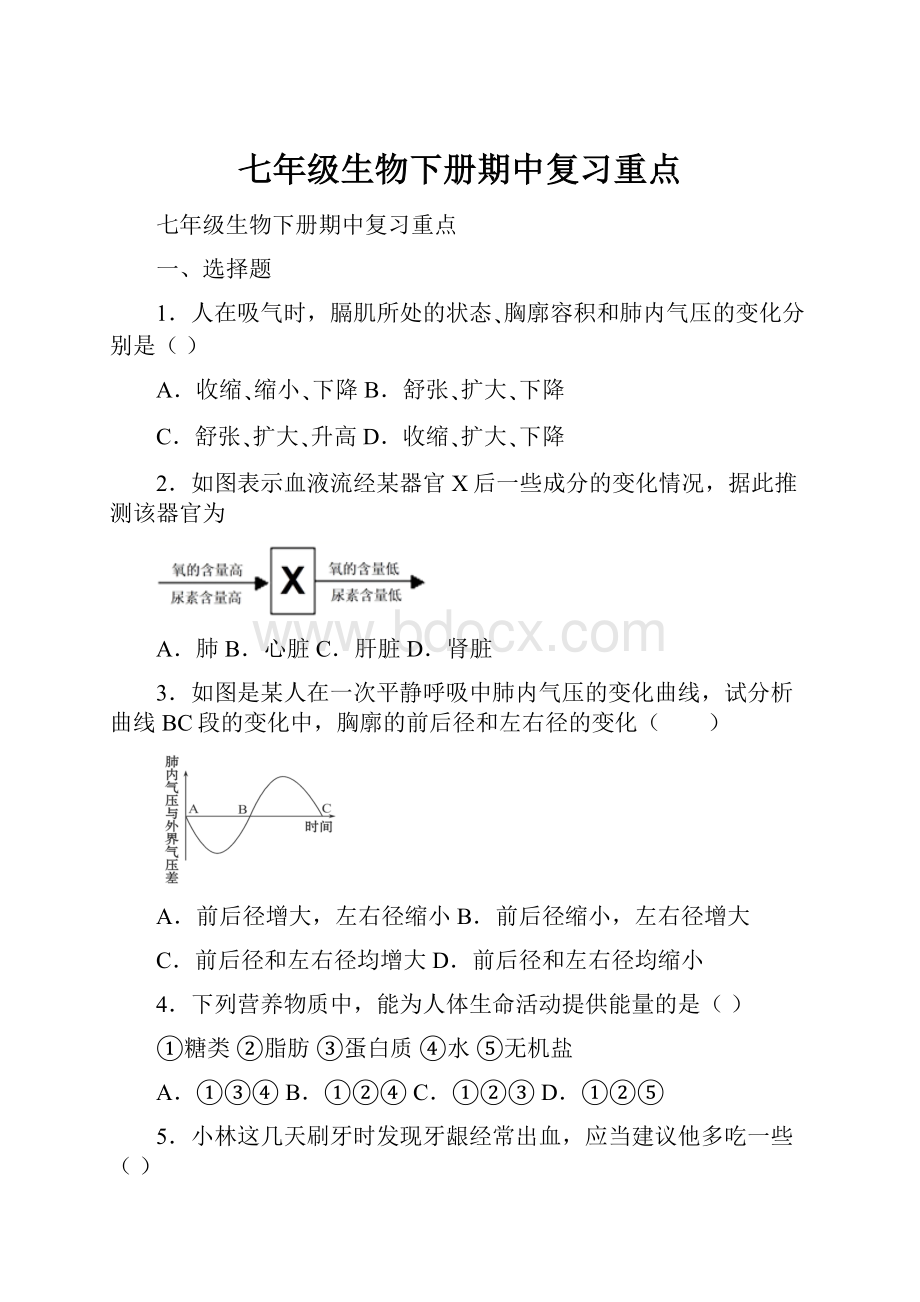 七年级生物下册期中复习重点.docx