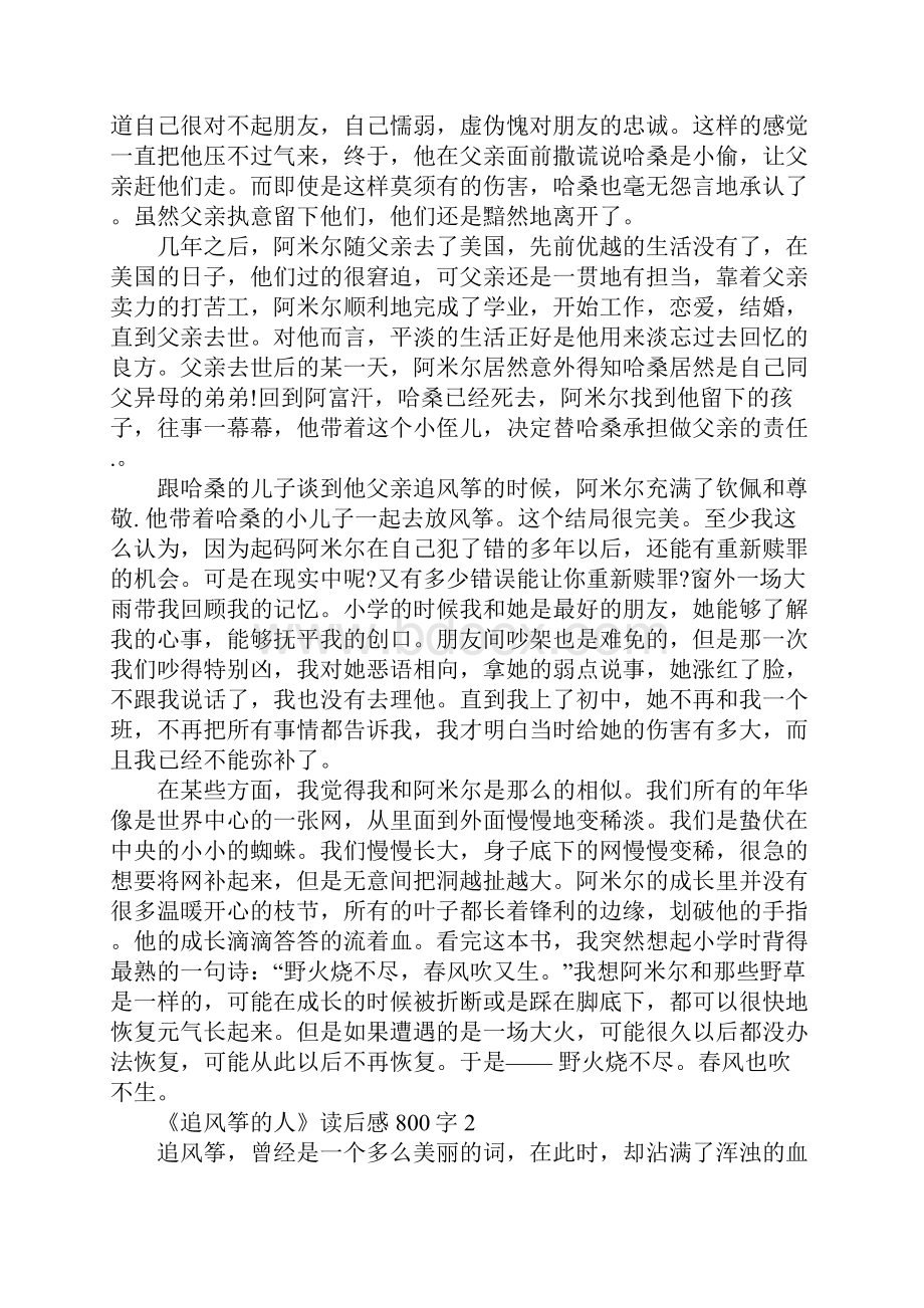 以《追风筝的人》为题的800字读后感作文获奖学生例文赏析.docx_第2页