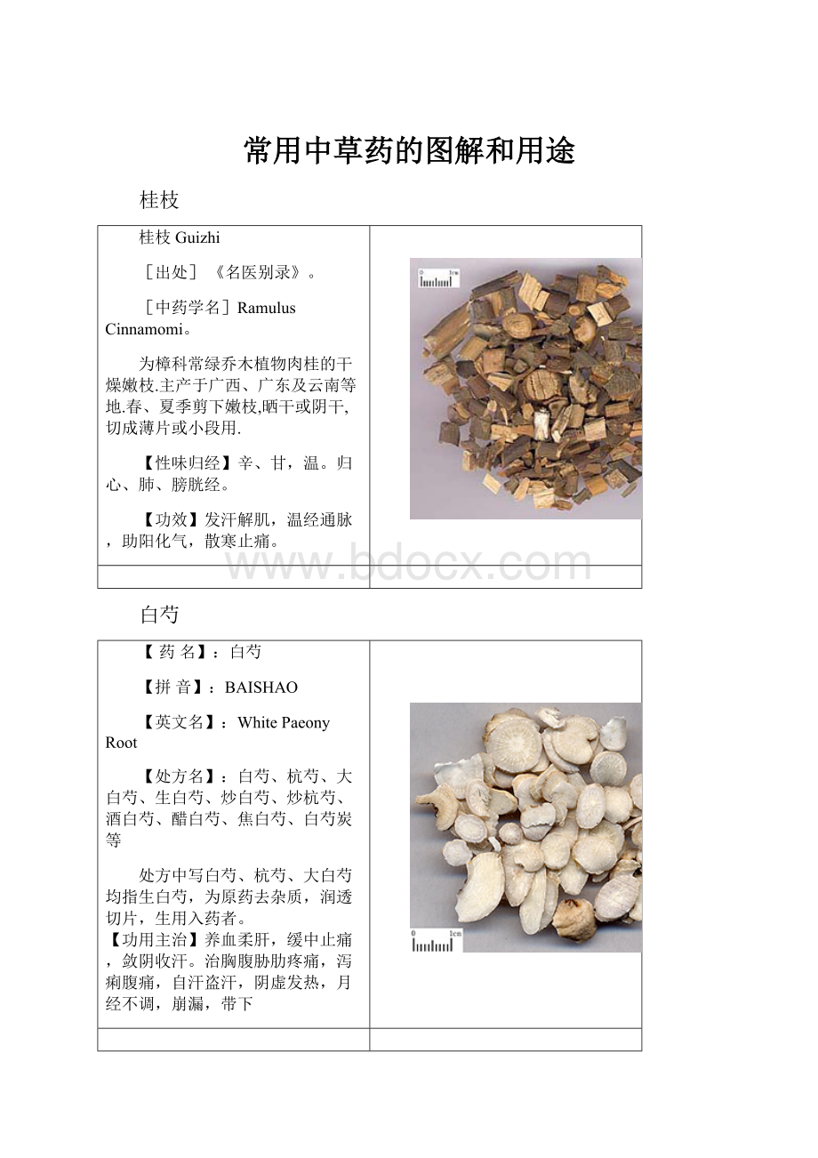 常用中草药的图解和用途.docx