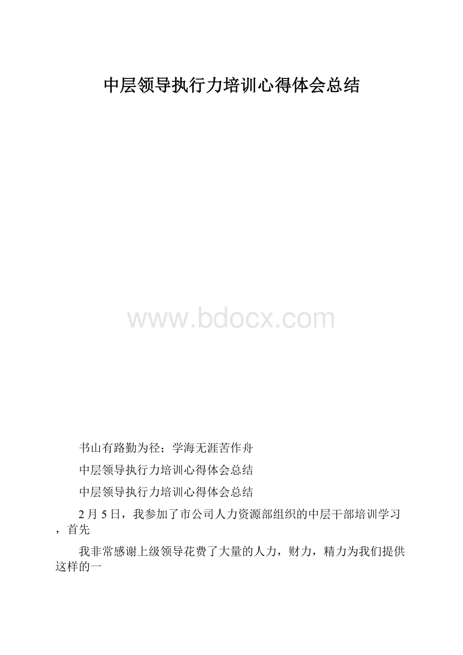 中层领导执行力培训心得体会总结.docx