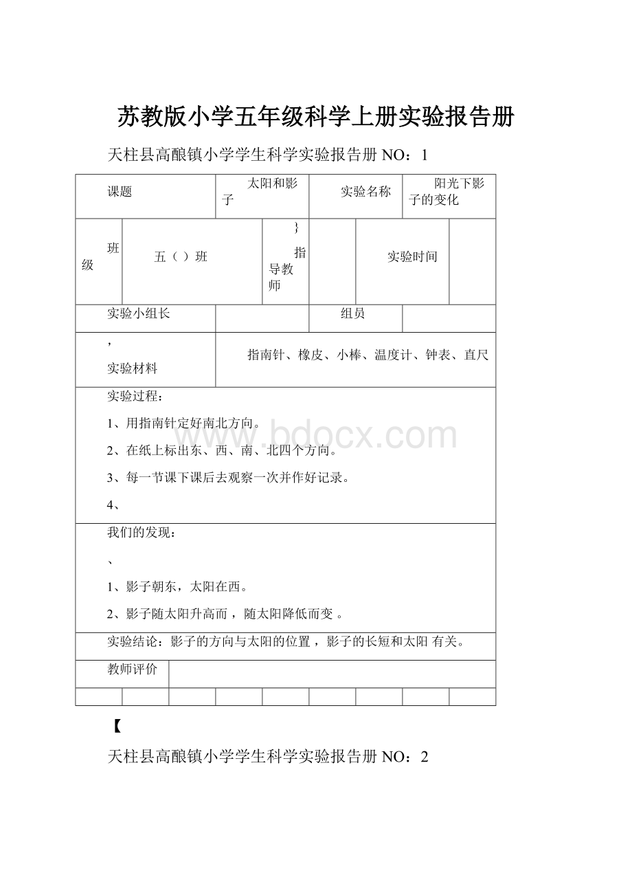 苏教版小学五年级科学上册实验报告册.docx_第1页