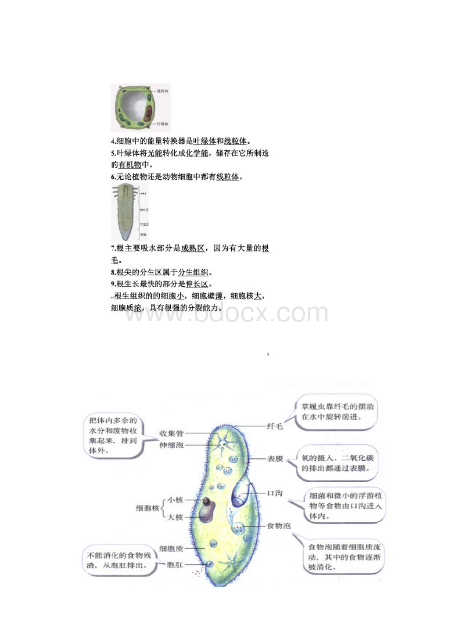 生地会考复习资料初中生物图集附题目1.docx_第2页