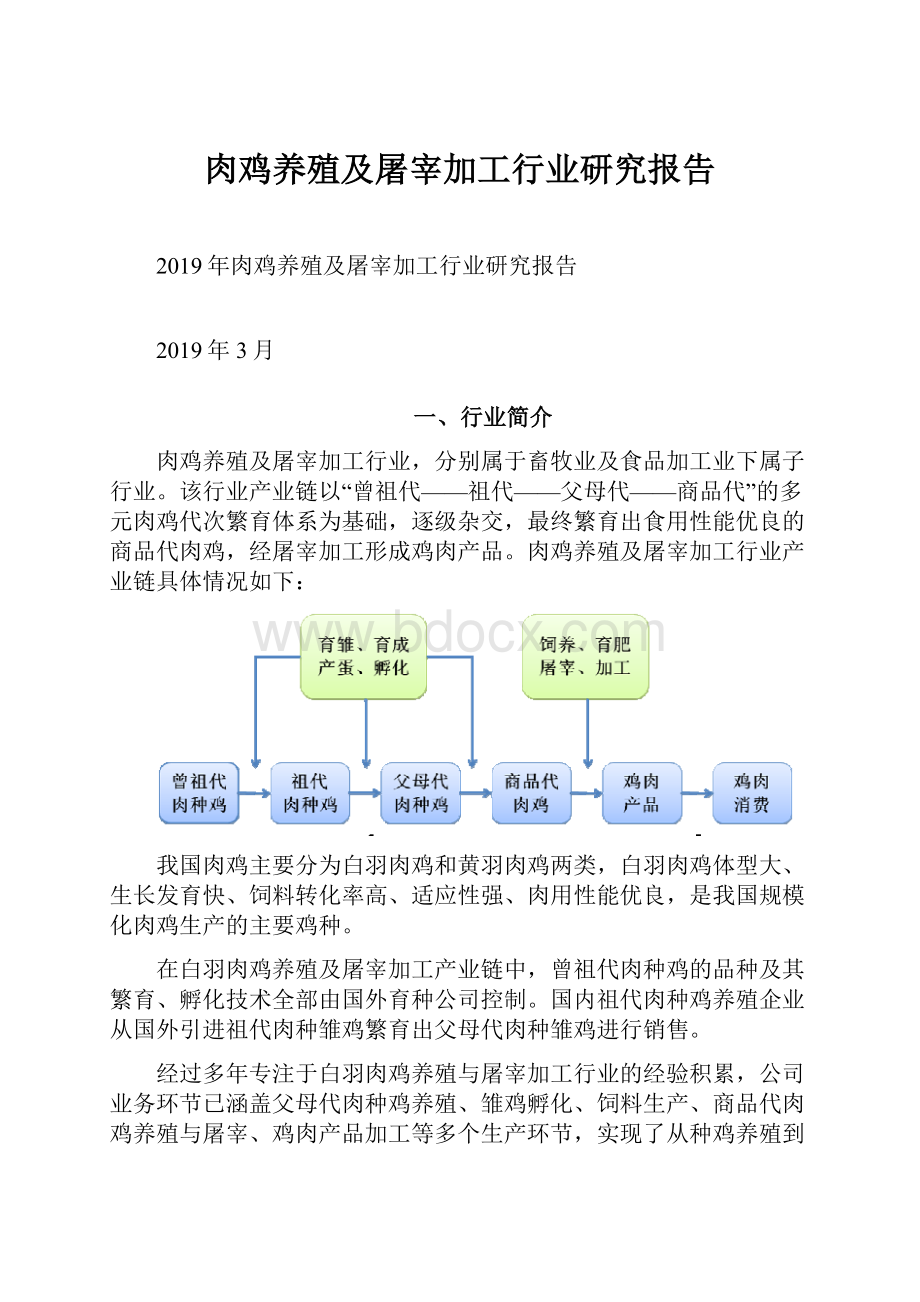 肉鸡养殖及屠宰加工行业研究报告.docx