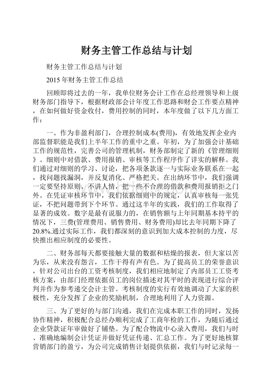 财务主管工作总结与计划.docx_第1页