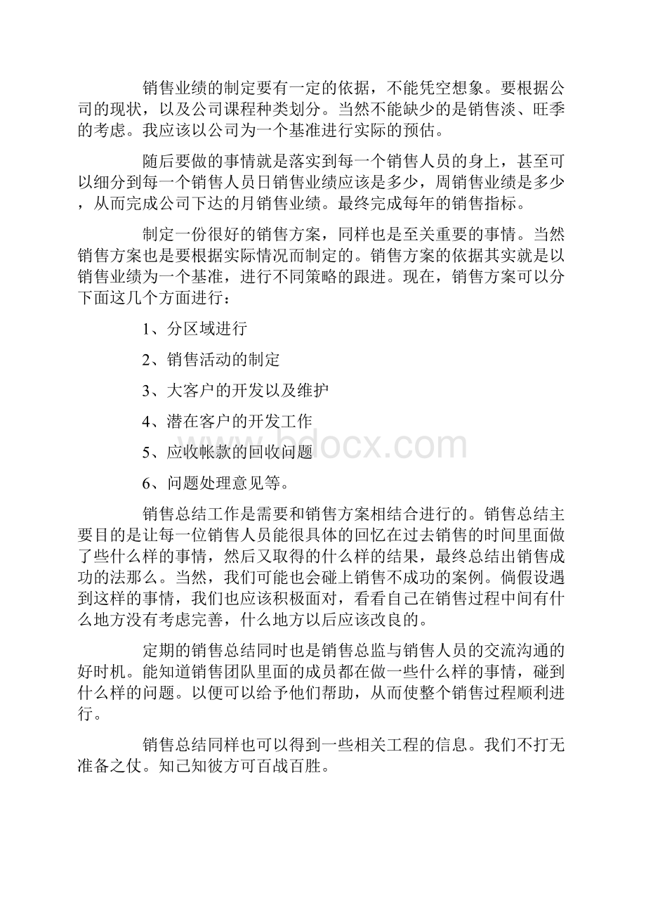 营销总监月度工作计划.docx_第2页