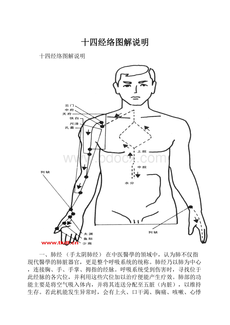 十四经络图解说明.docx