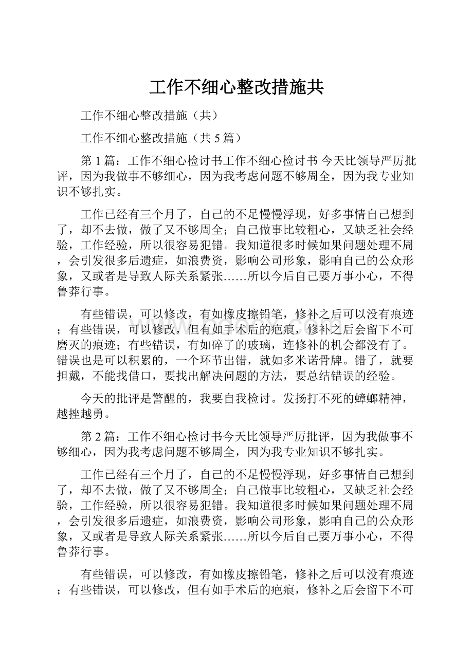 工作不细心整改措施共.docx