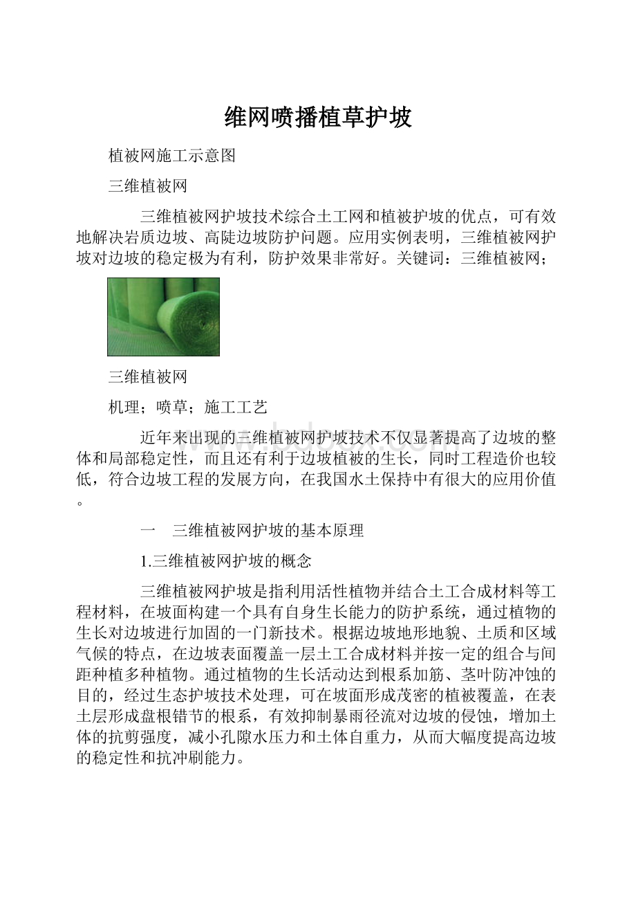 维网喷播植草护坡.docx