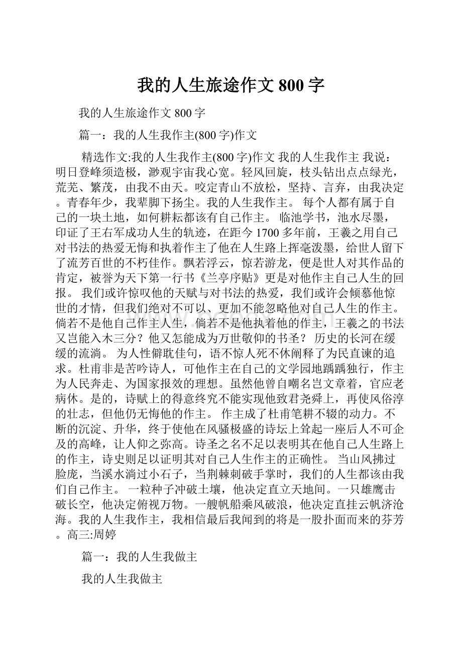 我的人生旅途作文800字.docx