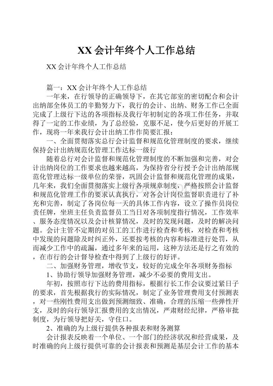 XX会计年终个人工作总结.docx