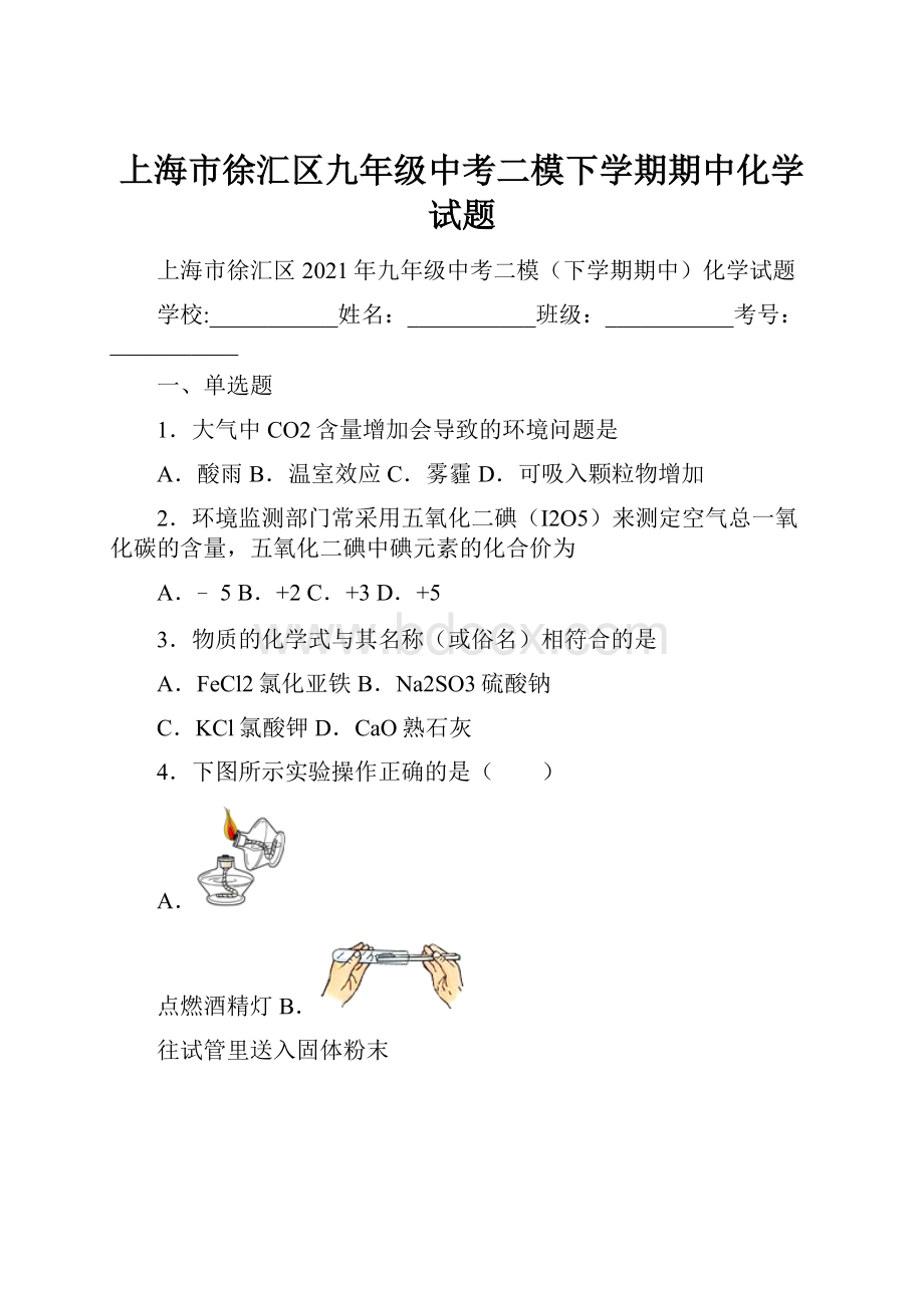 上海市徐汇区九年级中考二模下学期期中化学试题.docx