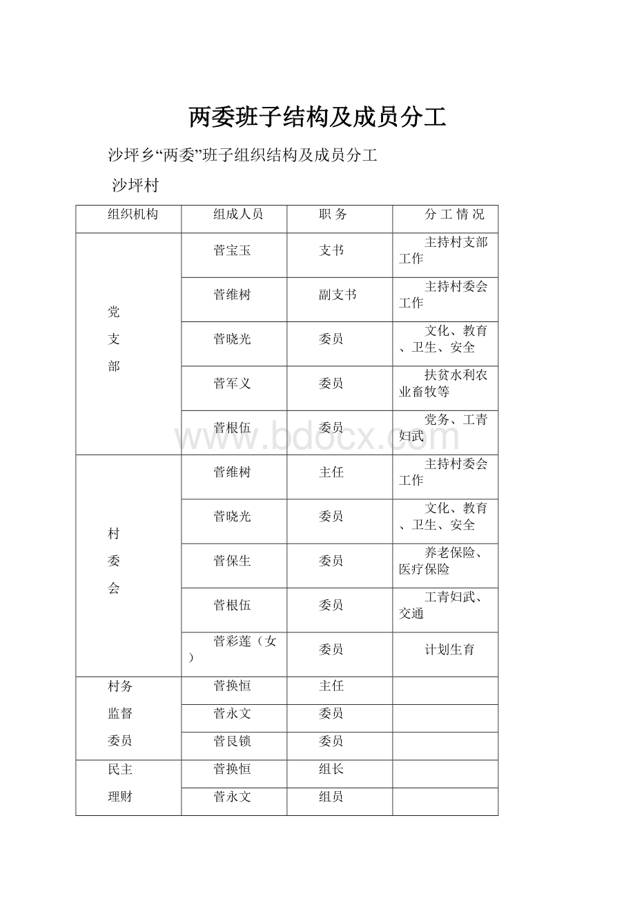 两委班子结构及成员分工.docx