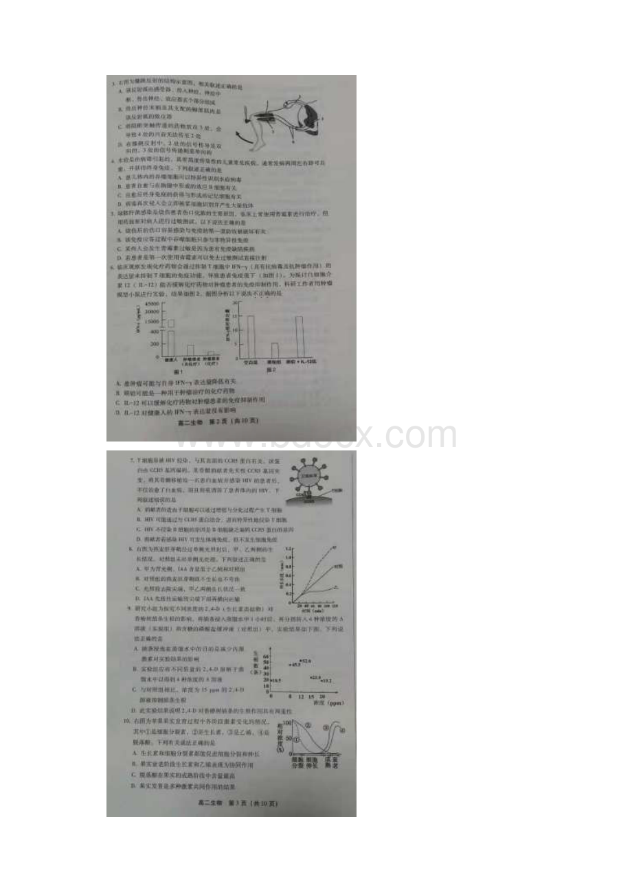 北京市丰台区学年高二生物上学期期末练习试题扫描版.docx_第2页