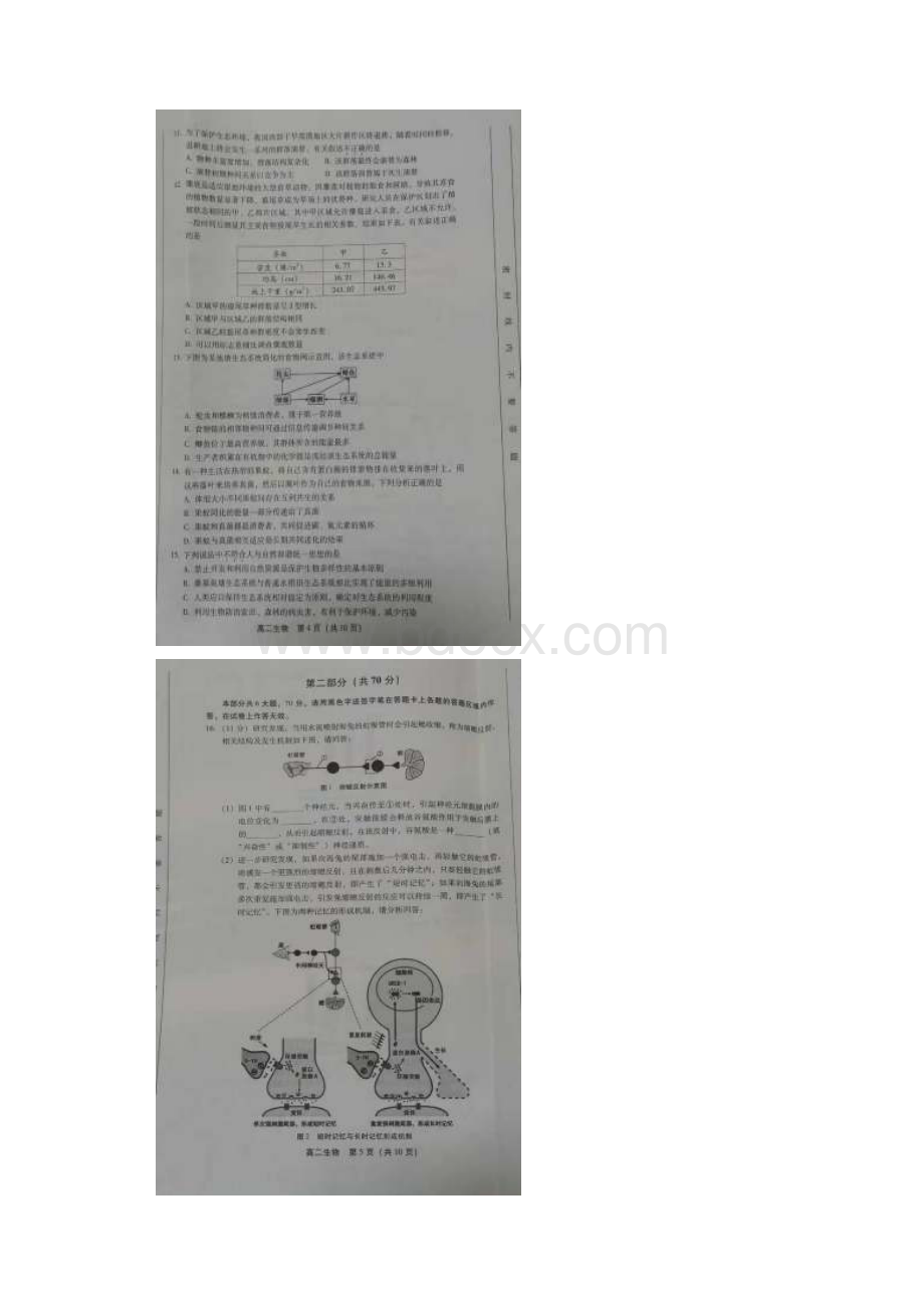 北京市丰台区学年高二生物上学期期末练习试题扫描版.docx_第3页