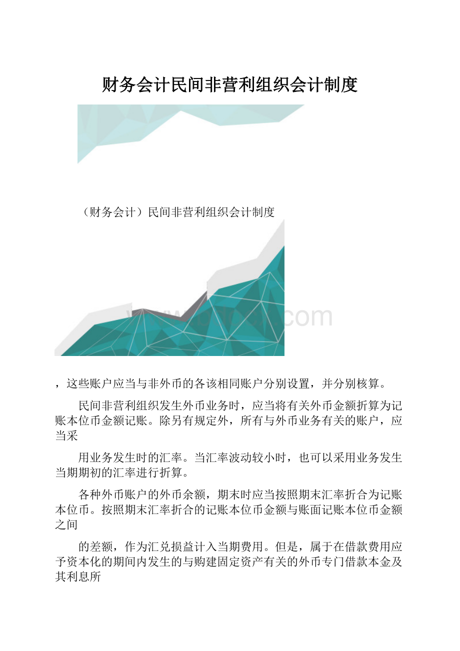 财务会计民间非营利组织会计制度.docx