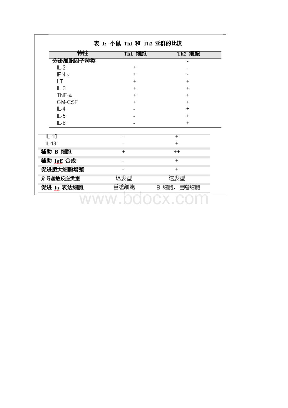 ThTh细胞基础知识.docx_第2页