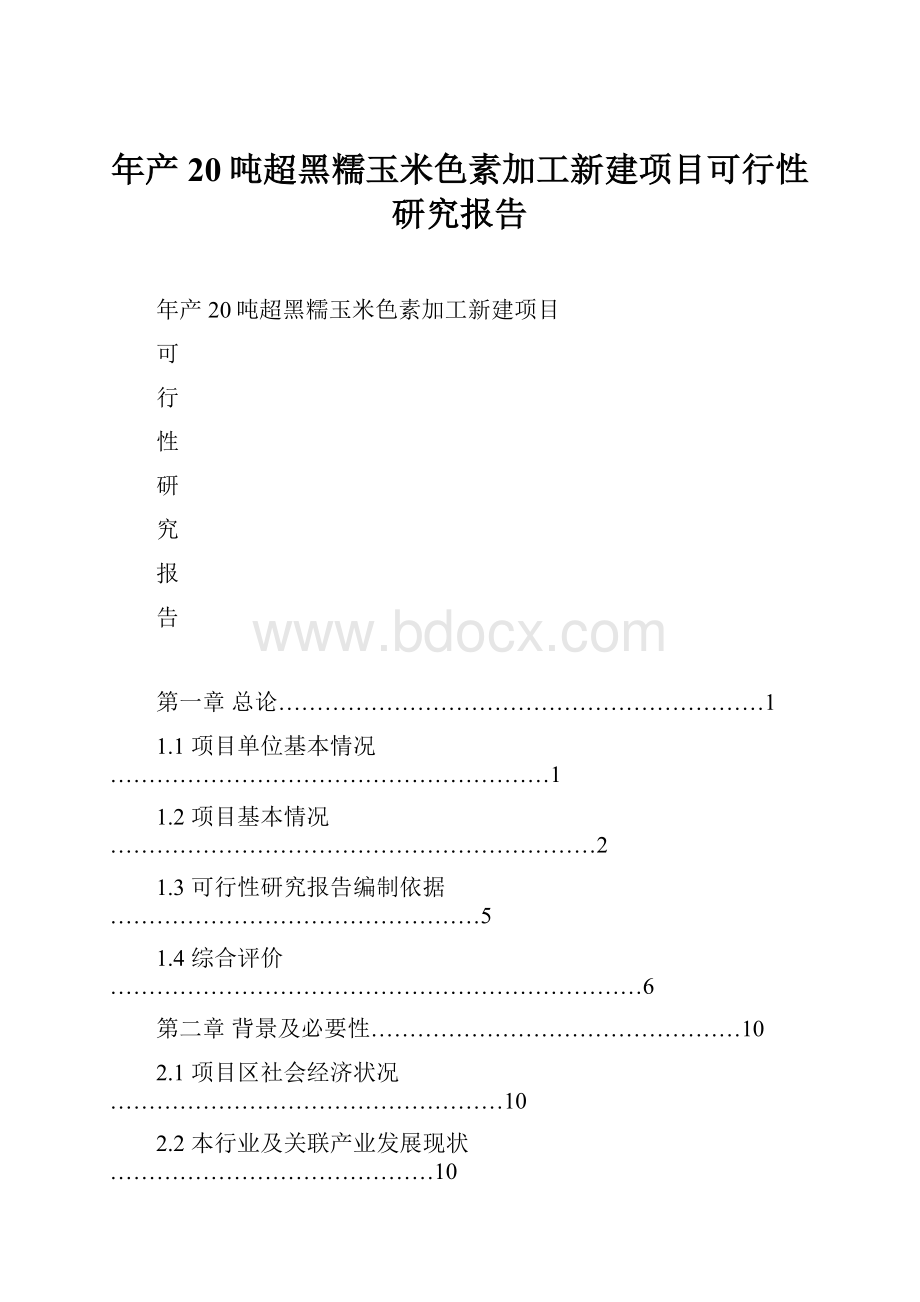 年产20吨超黑糯玉米色素加工新建项目可行性研究报告.docx_第1页