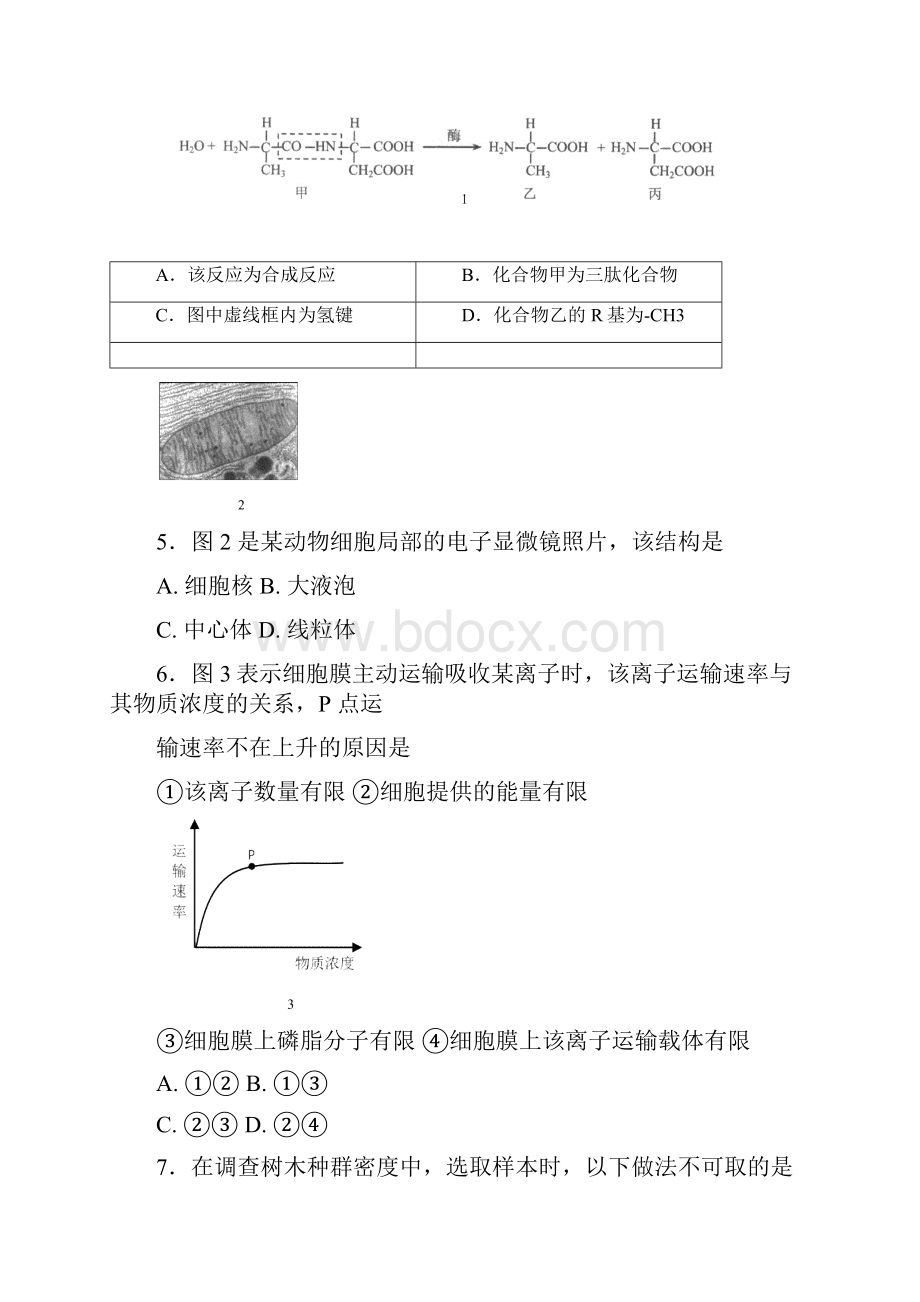 上海市嘉定区高二高三第一学期期末一模学科质量检测生物试题及答案word版含答案.docx_第2页