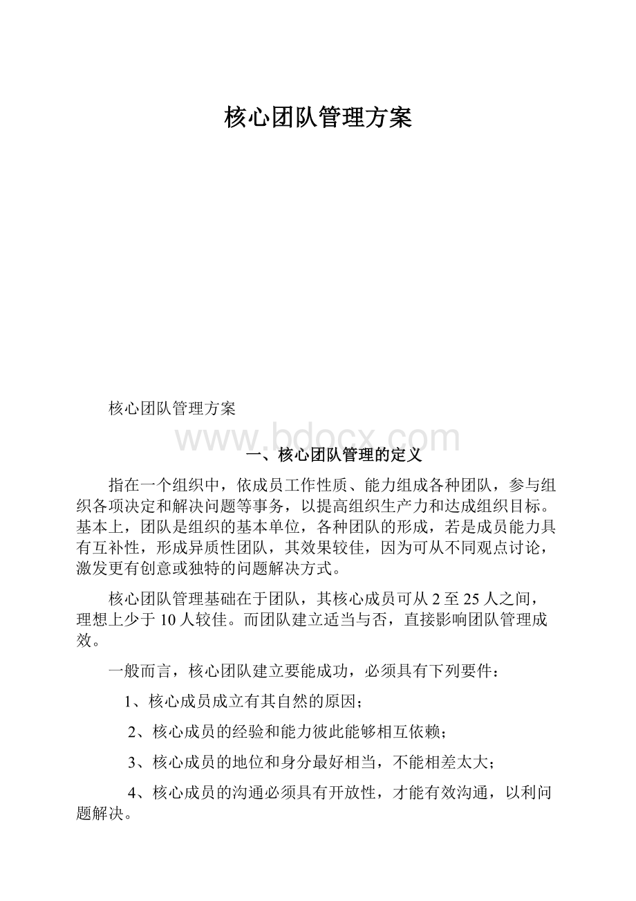 核心团队管理方案.docx