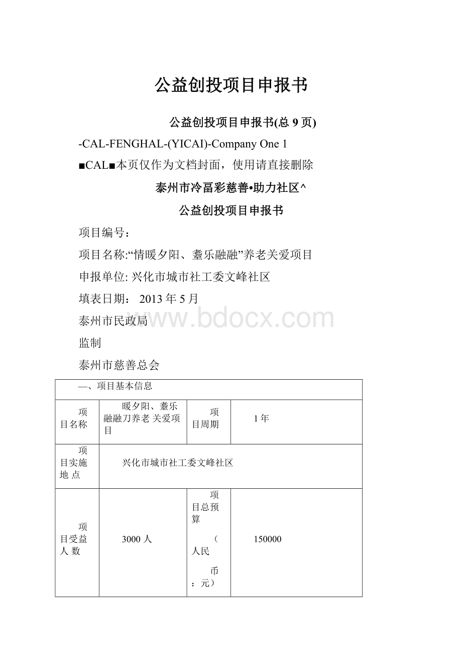 公益创投项目申报书.docx