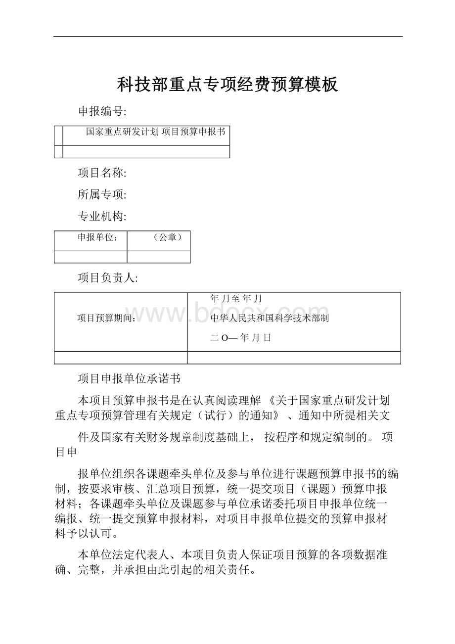 科技部重点专项经费预算模板.docx