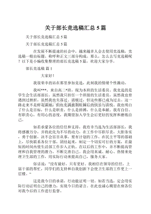 关于部长竞选稿汇总5篇.docx