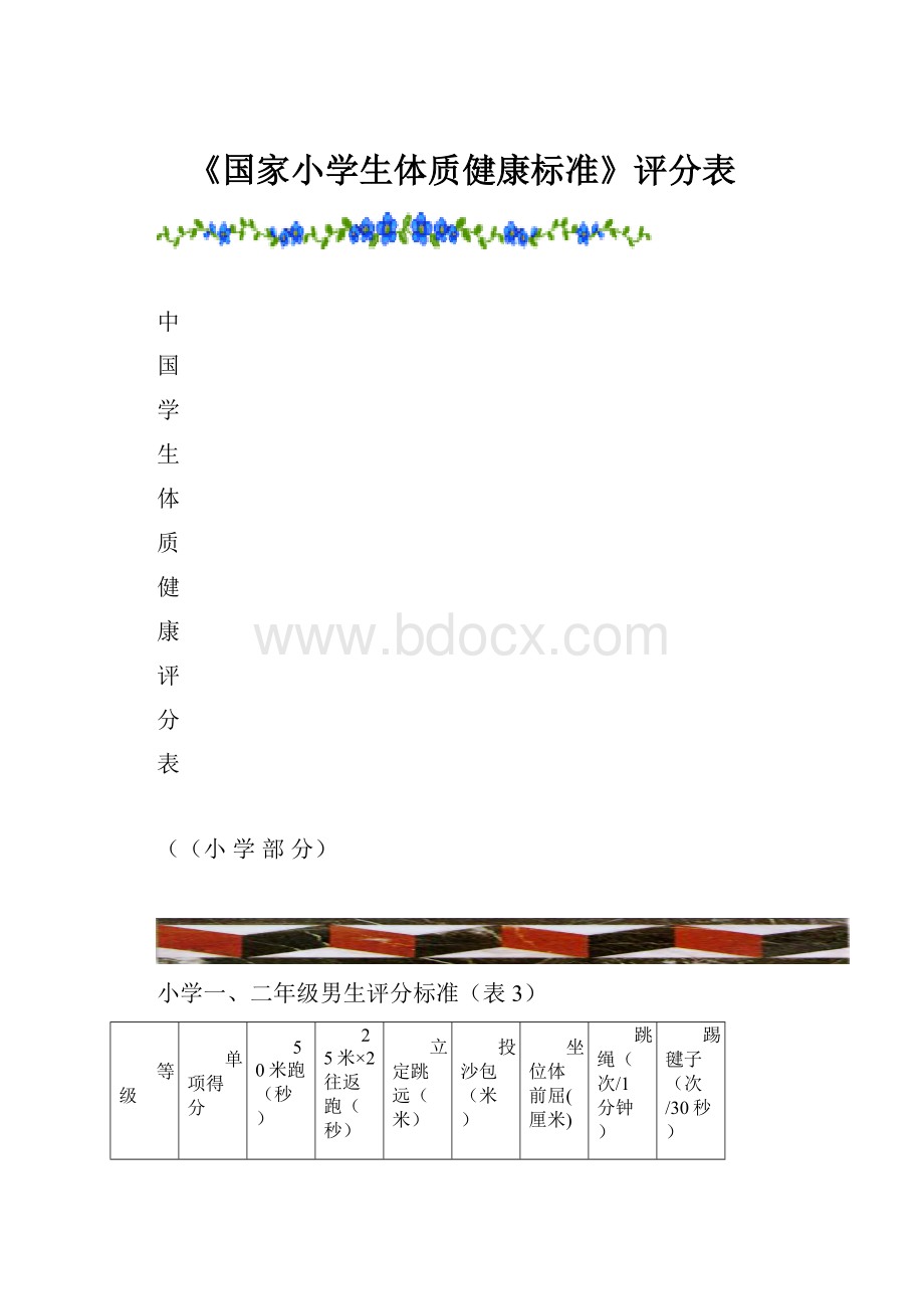 《国家小学生体质健康标准》评分表.docx