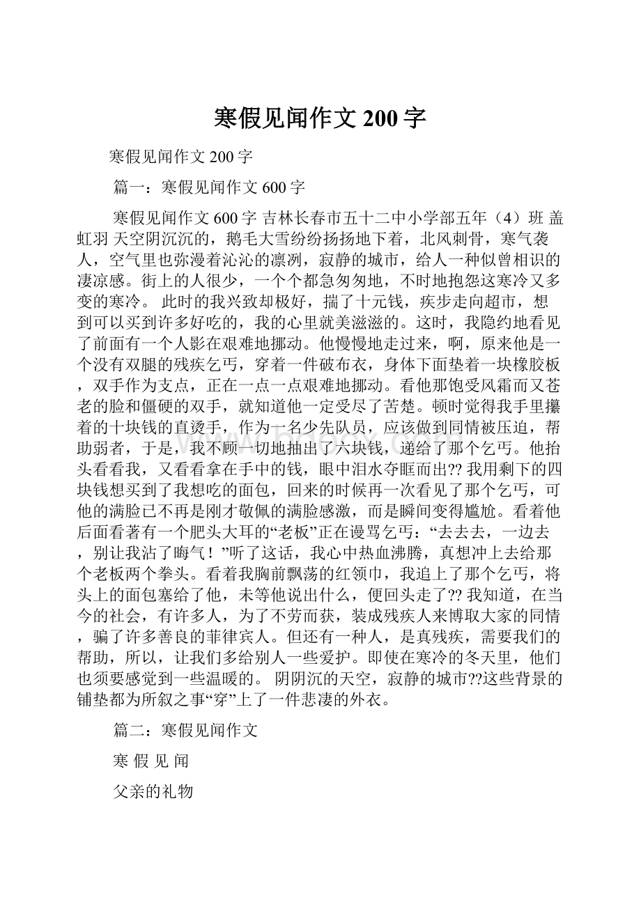 寒假见闻作文200字.docx