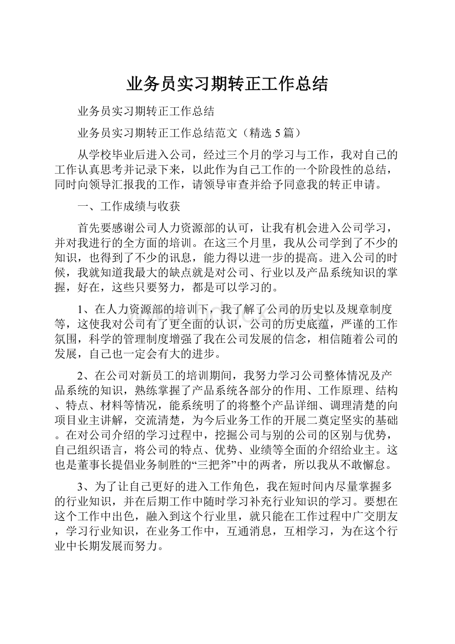 业务员实习期转正工作总结.docx