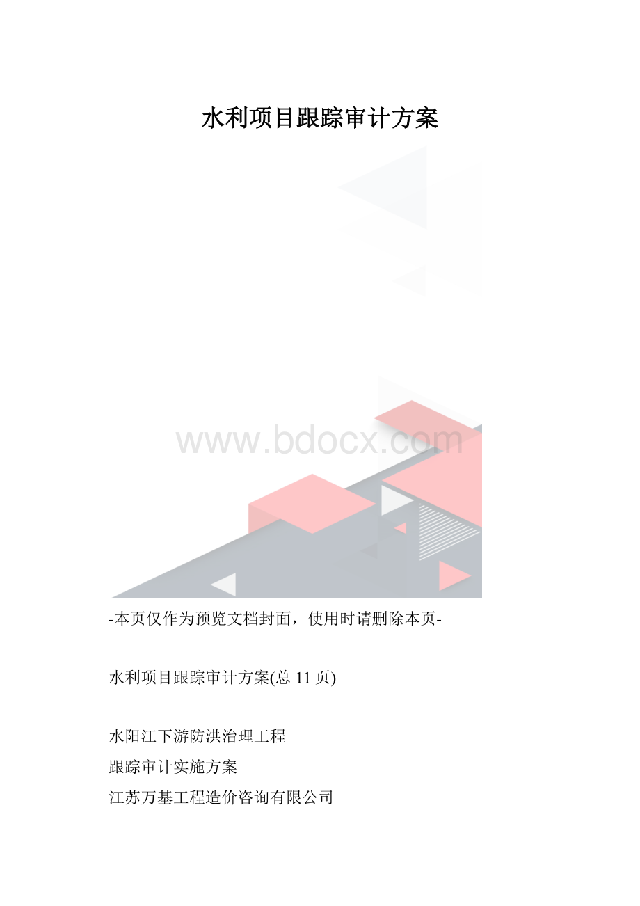 水利项目跟踪审计方案.docx