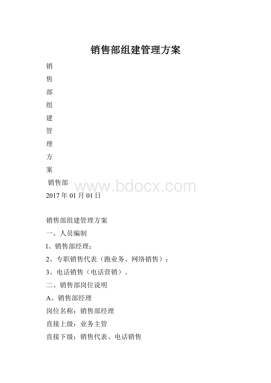 销售部组建管理方案.docx