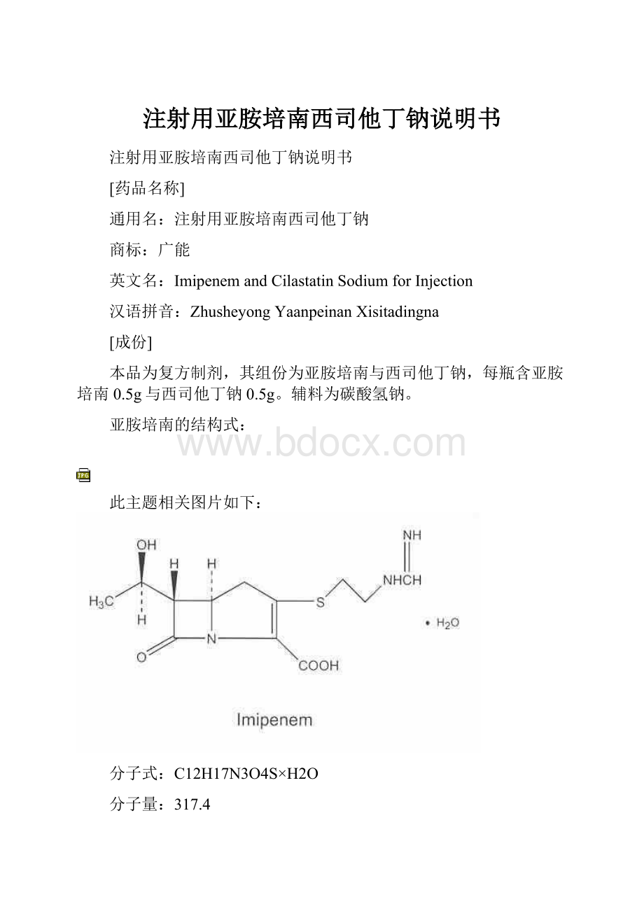 注射用亚胺培南西司他丁钠说明书.docx