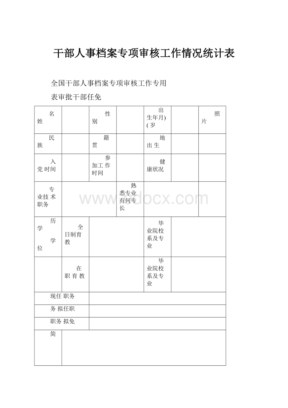 干部人事档案专项审核工作情况统计表.docx