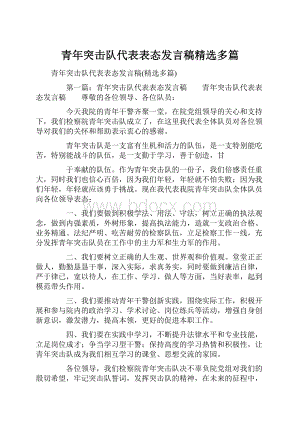 青年突击队代表表态发言稿精选多篇.docx