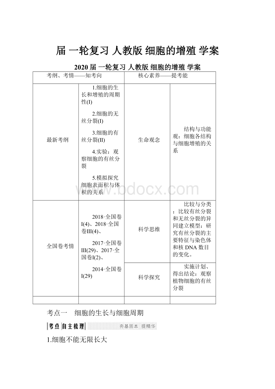 届 一轮复习人教版 细胞的增殖学案.docx