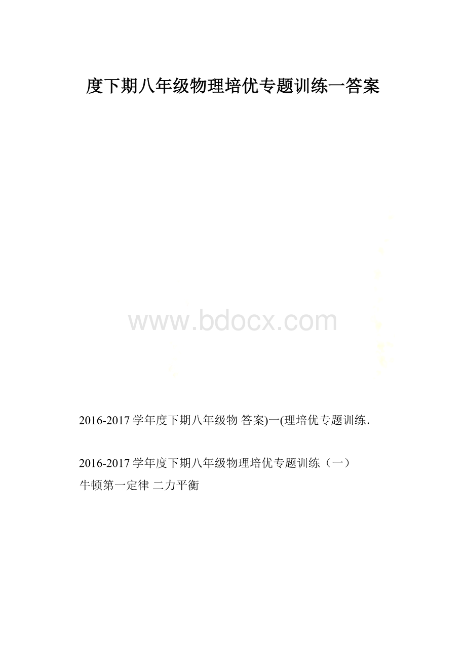 度下期八年级物理培优专题训练一答案.docx