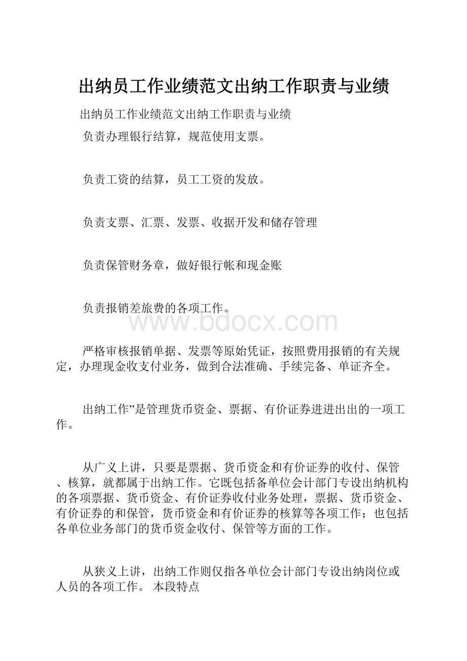 出纳员工作业绩范文出纳工作职责与业绩.docx