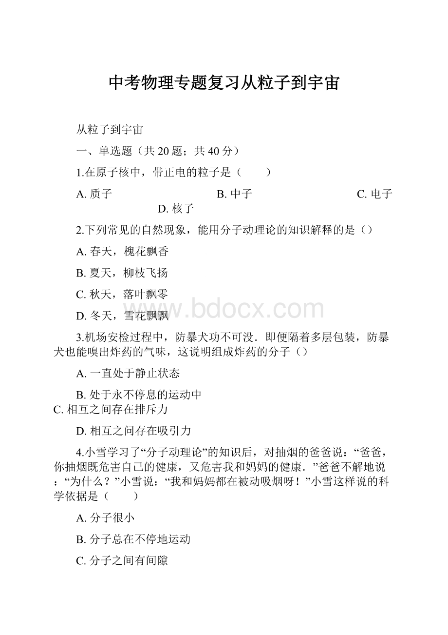 中考物理专题复习从粒子到宇宙.docx