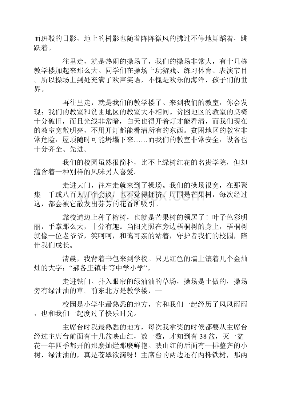 我与小树一起成长.docx_第3页