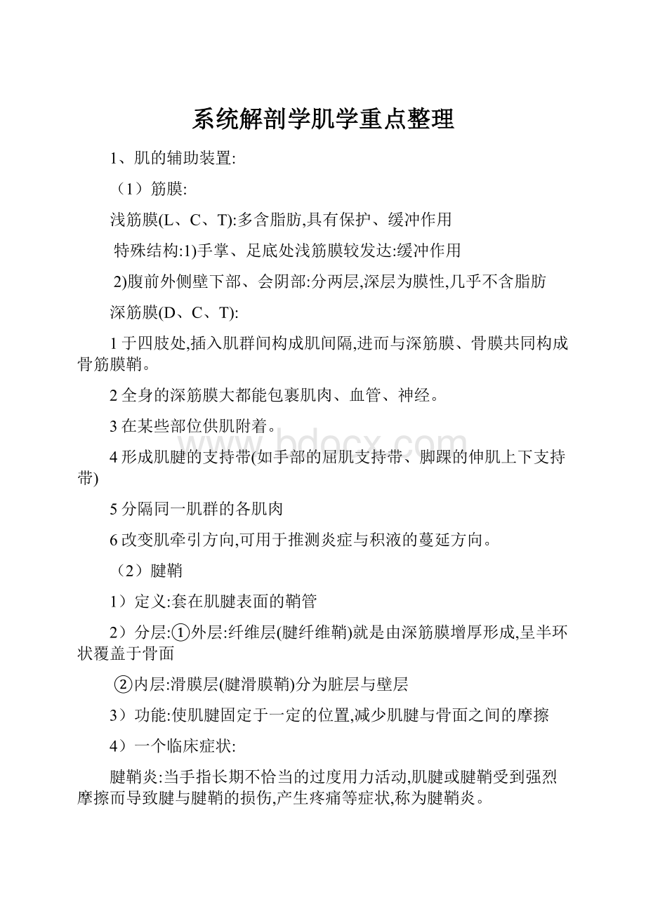 系统解剖学肌学重点整理.docx