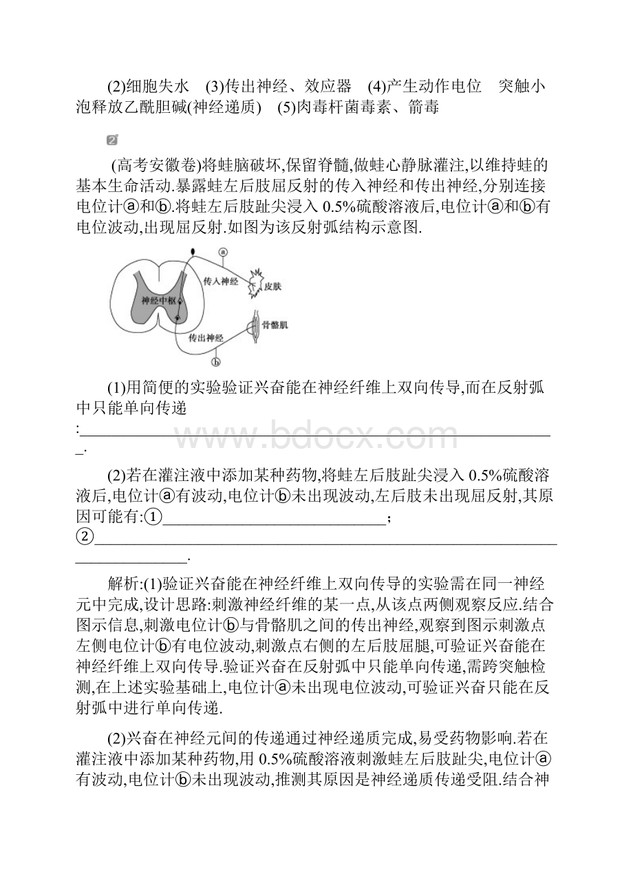 高中生物一轮复习方案练习第8单元 演练加强提升课五兴奋测定中的电流表指针偏转及探究实验分析.docx_第3页