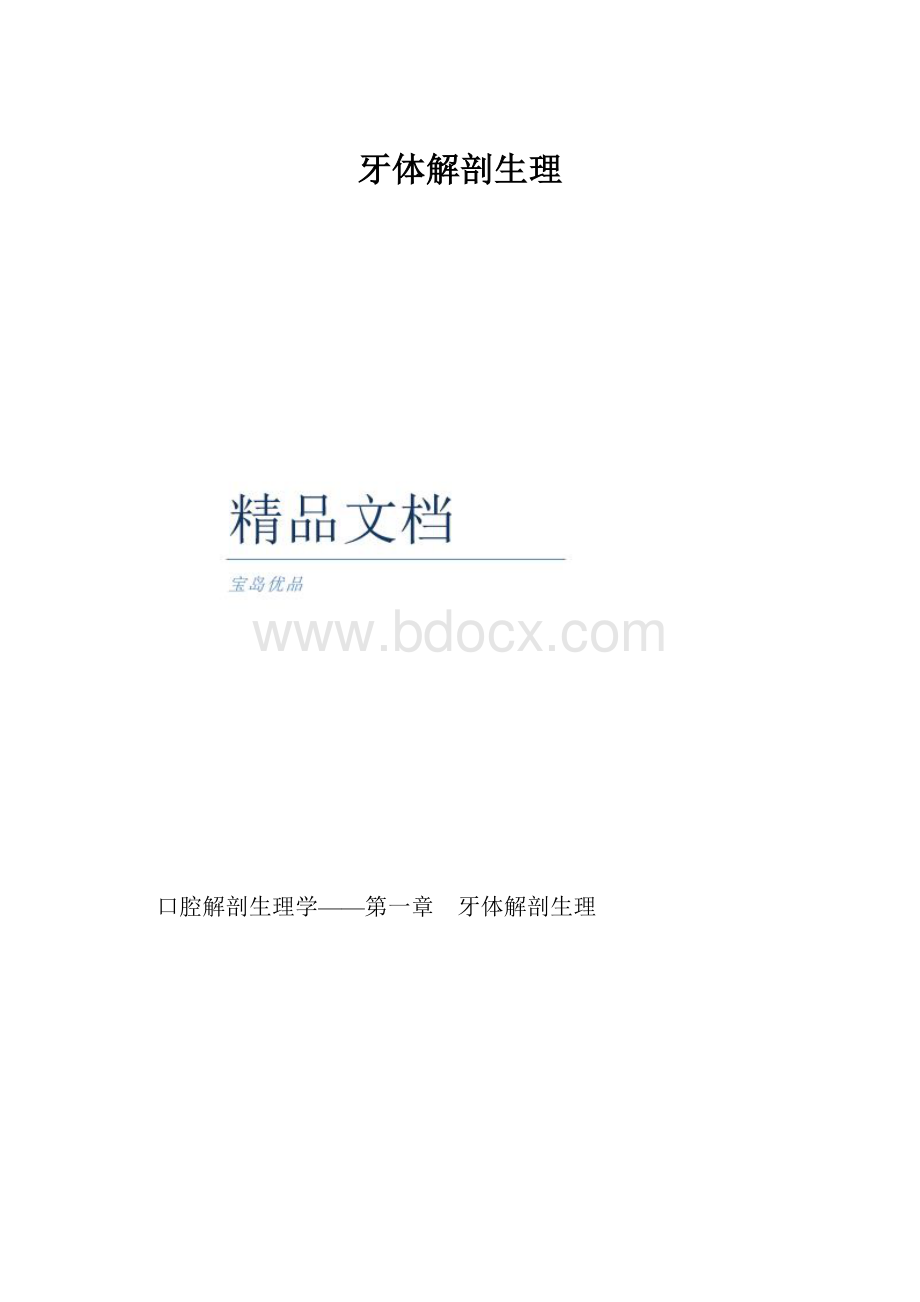 牙体解剖生理.docx