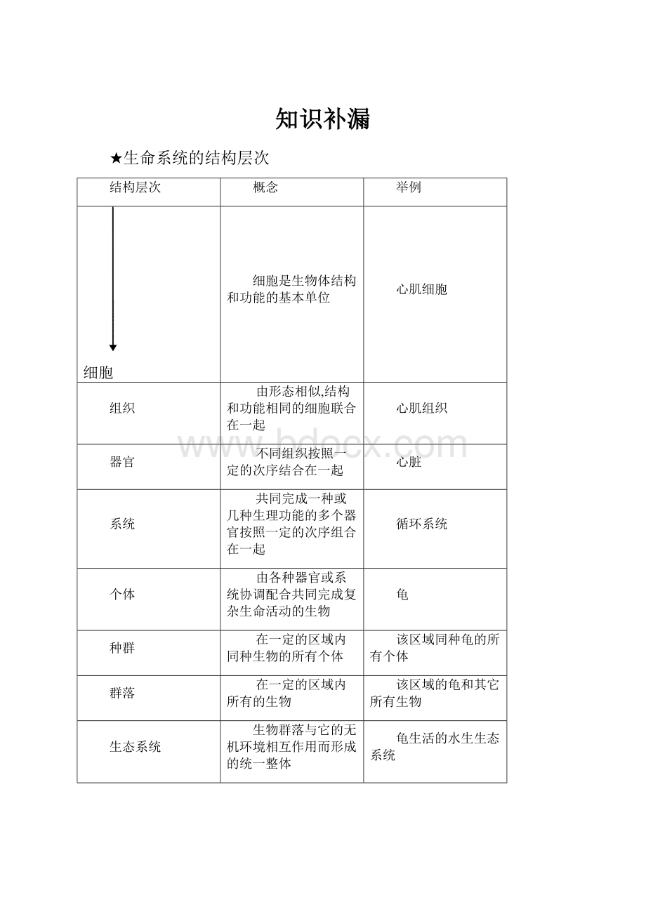 知识补漏.docx_第1页